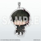 スロウ・ダメージ スロウダメージ ねんどろいどぷらす アクリルホルダー スロウ・ダメージ ねんどろいどぷらす アクリルキーホルダー